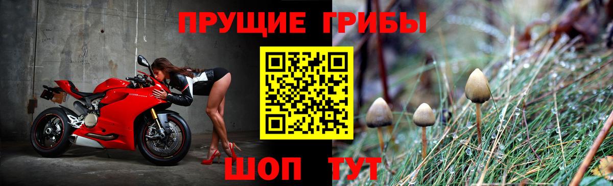 Владимир  Псилоцибиновые грибы мухоморы  Вход с VPN  Псилоцибиновые грибы Psilocybine cubensis 