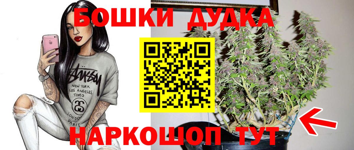 Каннабис сатива  Канабис конопля  Вход с VPN  Владимир  Конопля семена 
